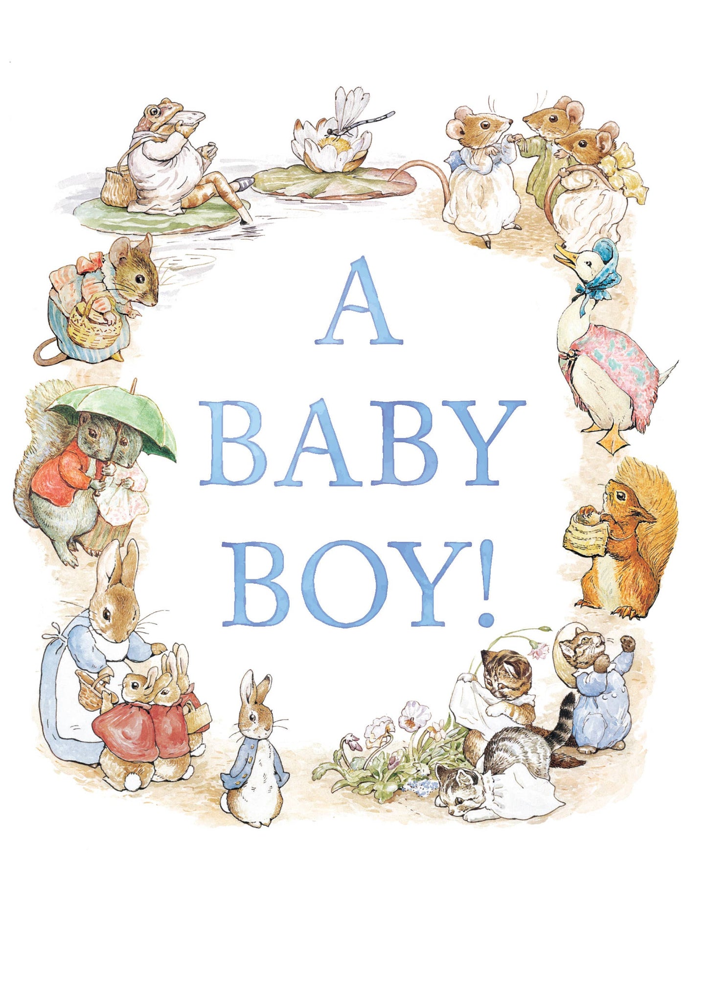 BEATRIX POTTER NEW BABY BOY GREETING CARD HYPE - r. h. ballard shop & gallery