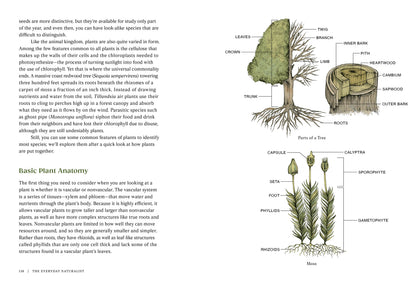 The Everyday Naturalist - r. h. ballard shop & gallery