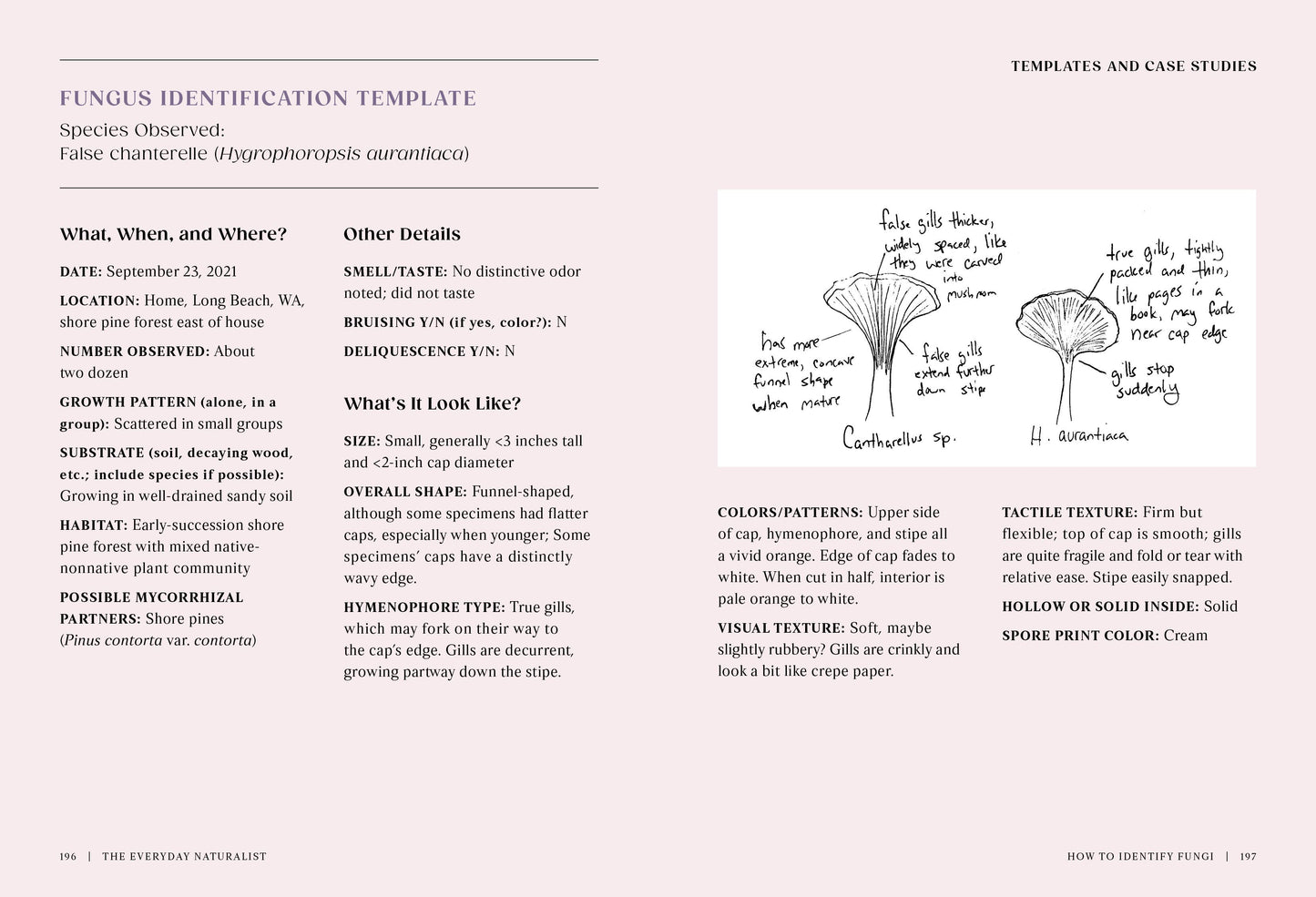 The Everyday Naturalist - r. h. ballard shop & gallery