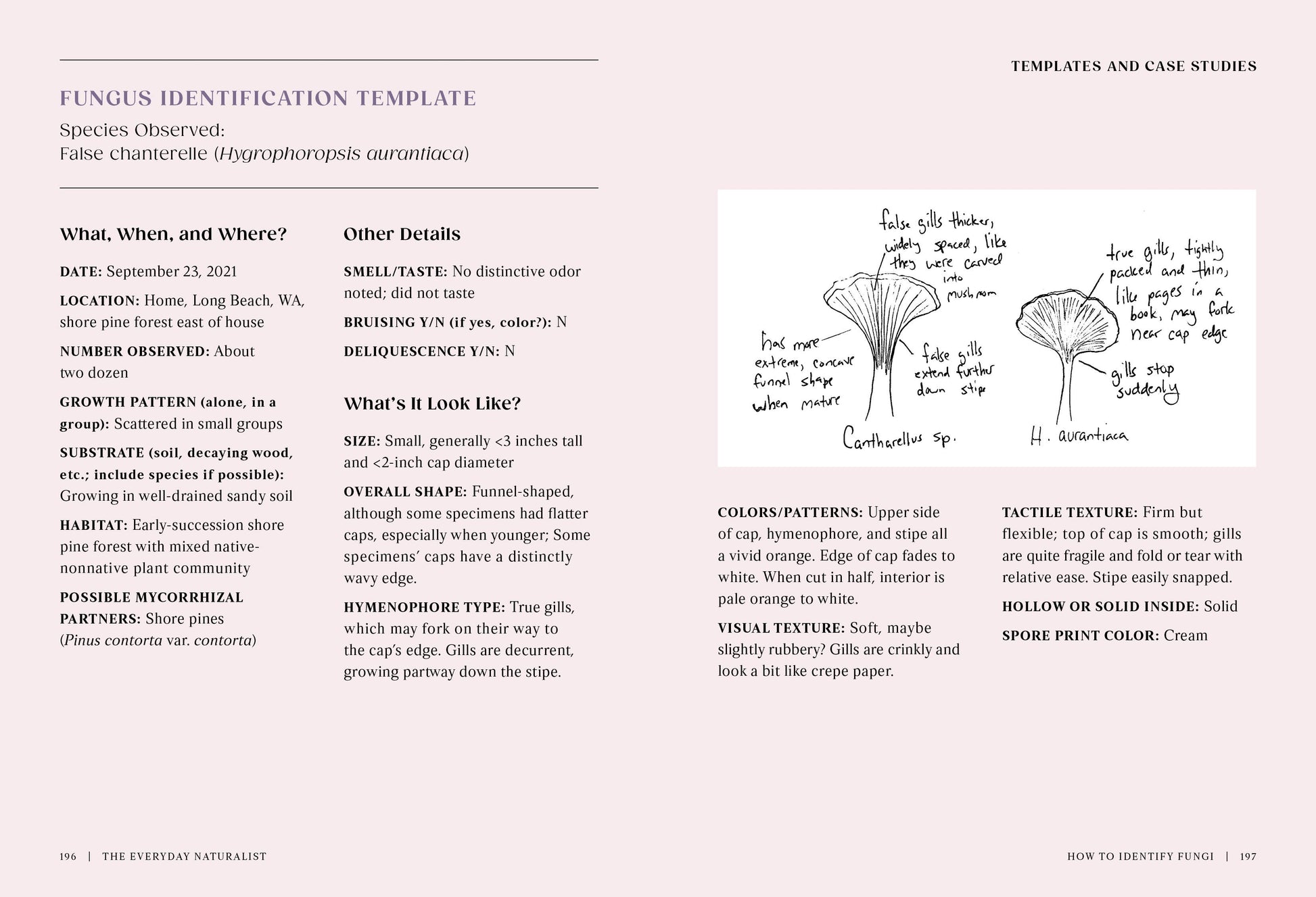 The Everyday Naturalist - r. h. ballard shop & gallery
