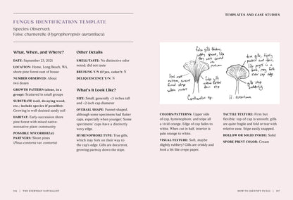 The Everyday Naturalist - r. h. ballard shop & gallery