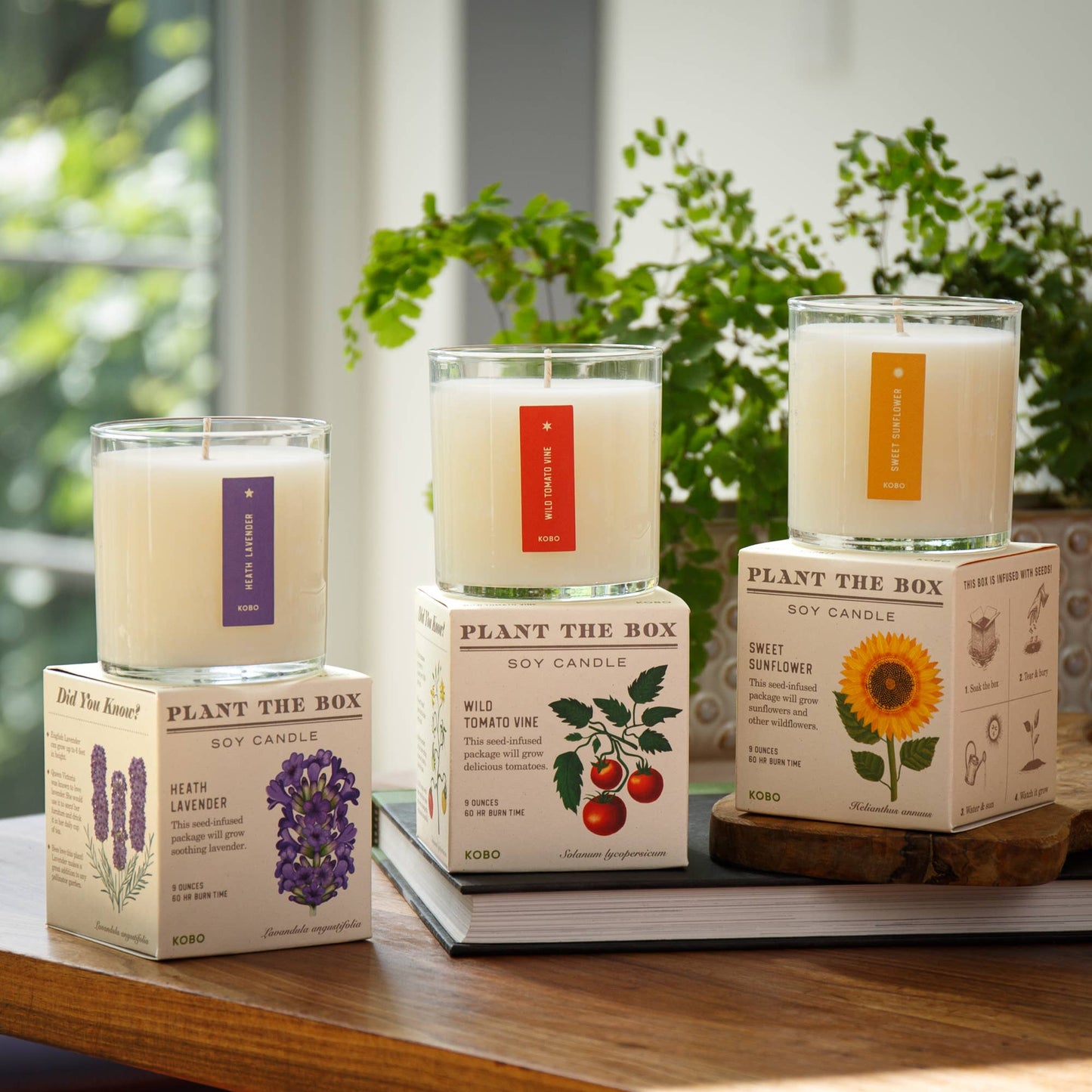 Sweet Sunflower - Plant the Box Candle - 9oz.