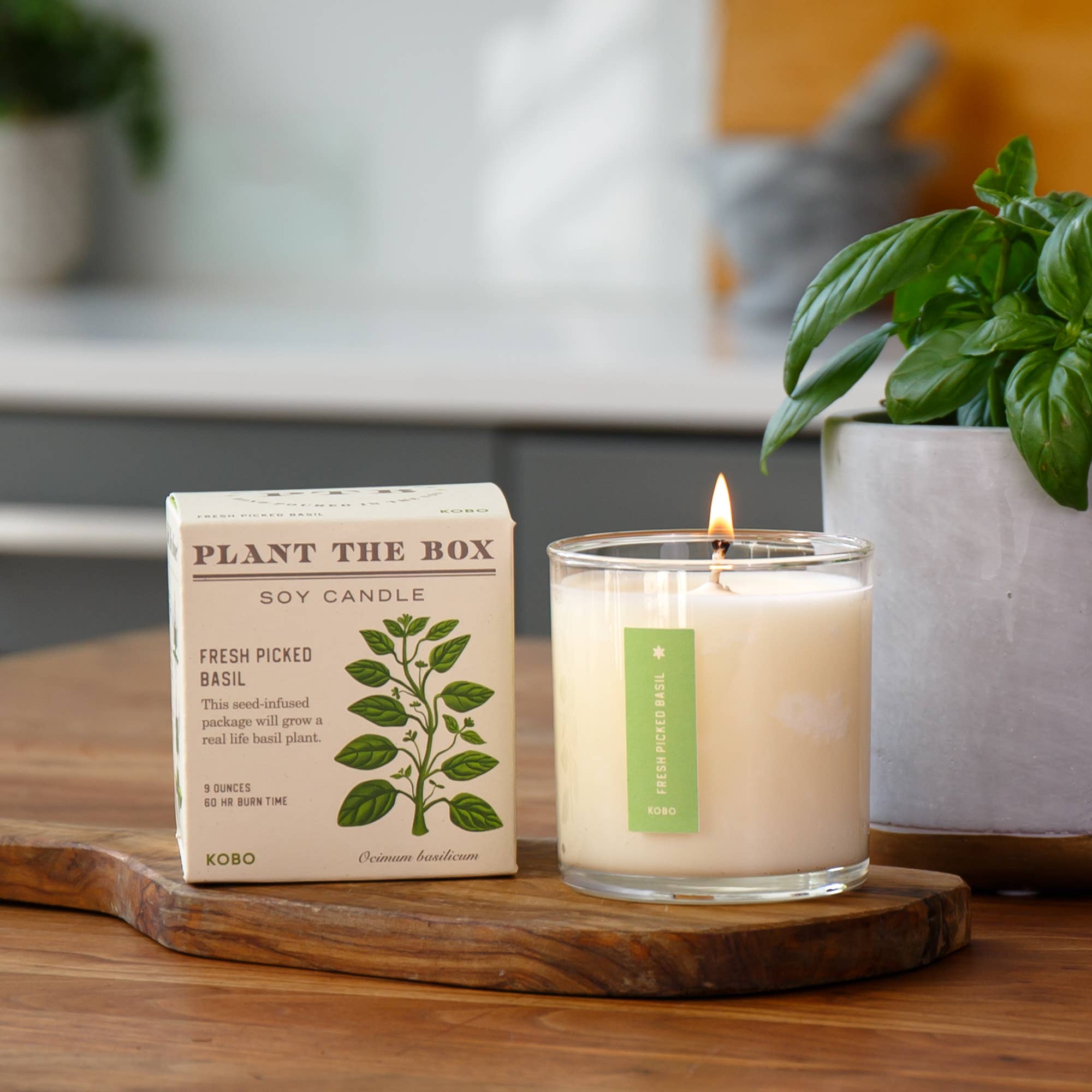 Kobo Plant the Box Candle