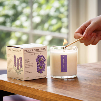 Heath Lavender - Plant the Box Candle - 9oz.