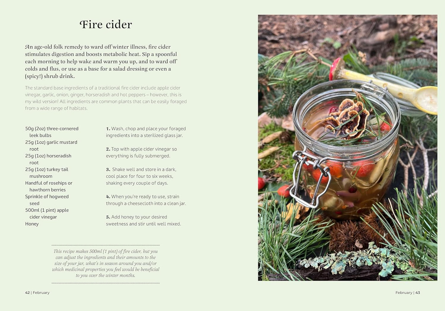 The Forager's Almanac: A year of sustainable gathering, growing, recipes and wildcraft