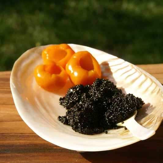 Seashell Footed Caviar Dish -- Available MAY 15, 2024