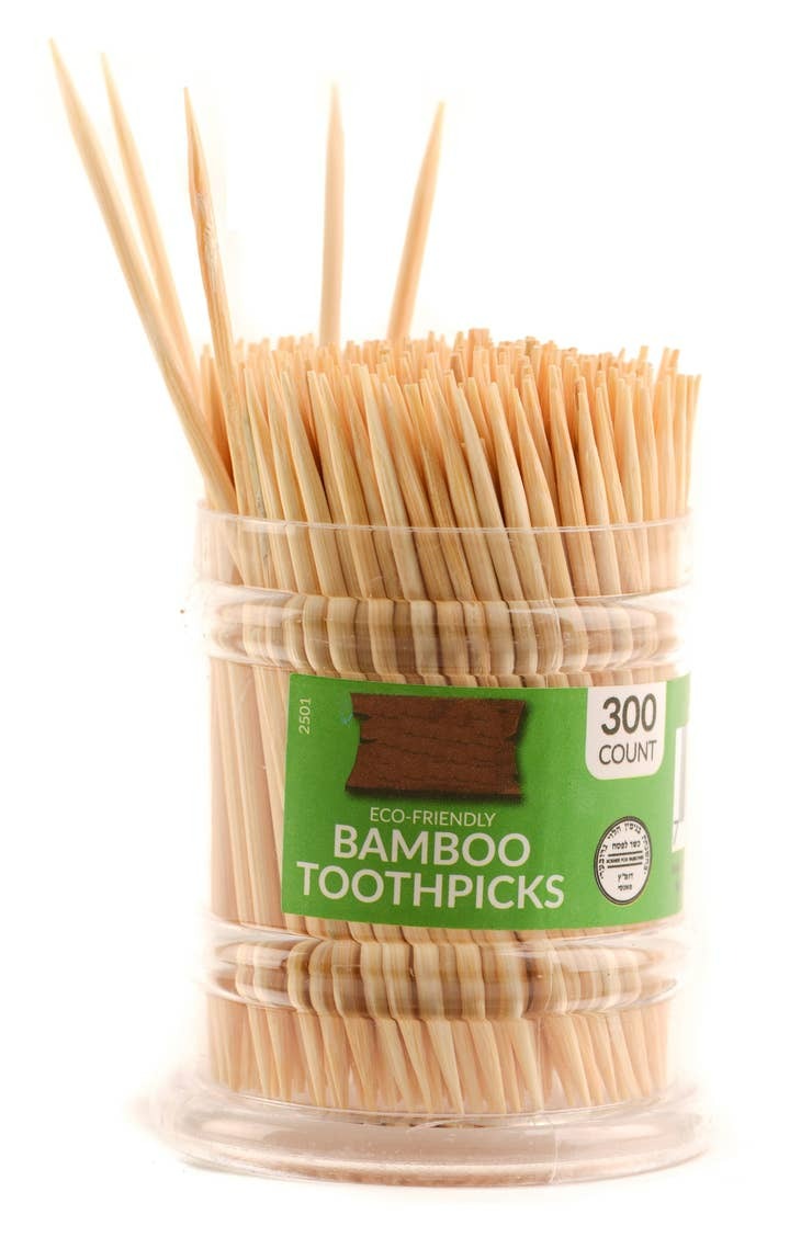 Bamboo Wooden Toothpicks, 300 count