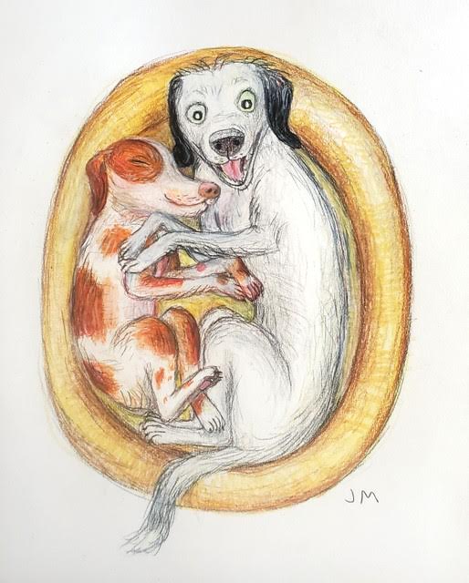 Dogs in Yellow Bed, Colored Pencil