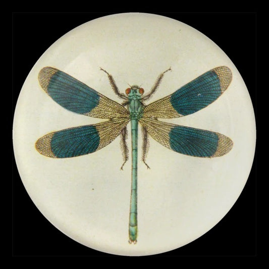Dragonfly Dome Paperweight, 3.5in x 1.5in