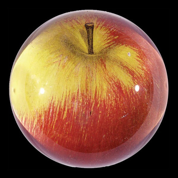 Apple Glass Dome Paperweight, 3.5in x 1.5in