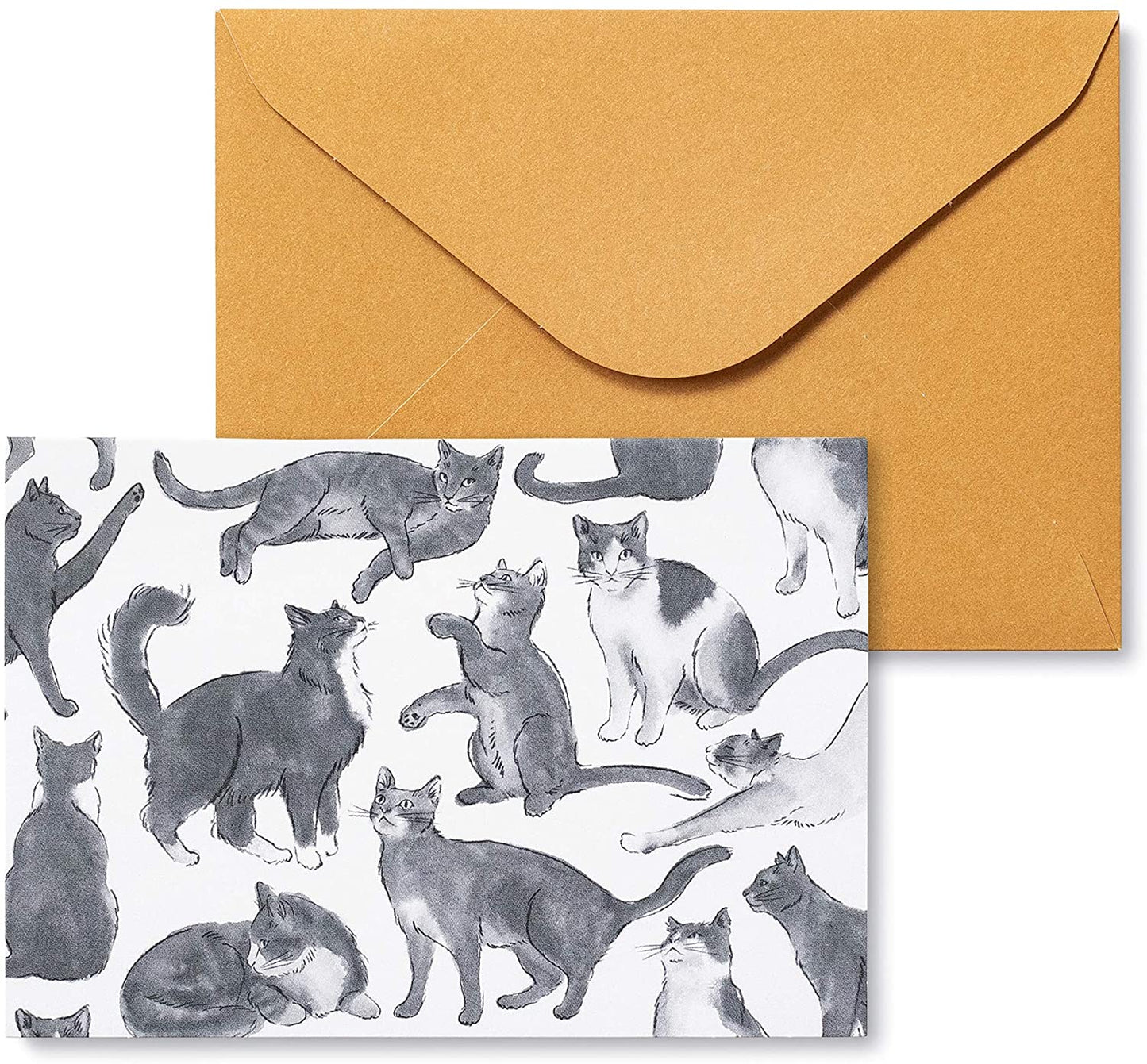 Cat Cards for Friendship and Appreciation - Set of 12