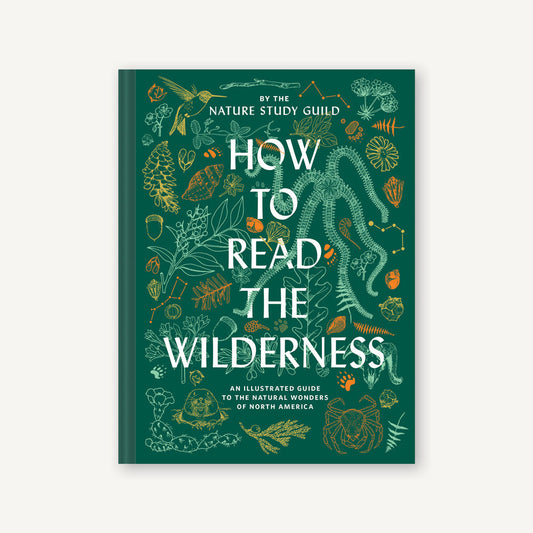 How To Read the Wilderness