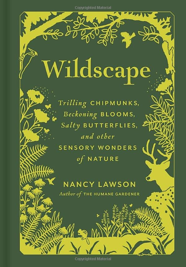 Wildscape: Trilling Chipmunks, Beckoning Blooms, Salty Butterflies