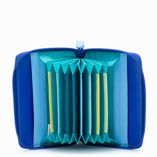 Blue and Green Card Holder Open
